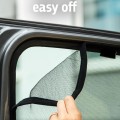 ccx.jpg